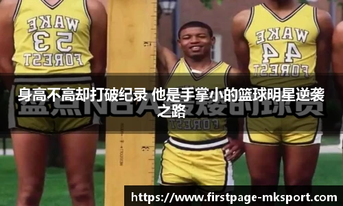 MK体育平台