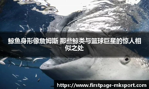 MK体育网址