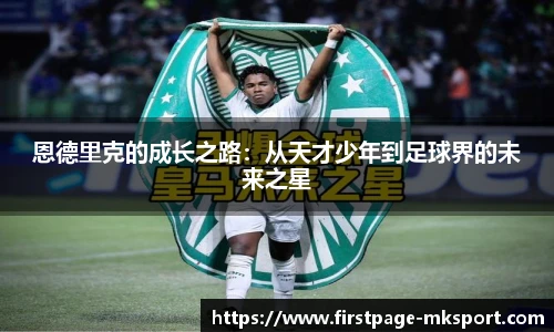 MK体育网址